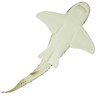 Safari Ltd. Zebra Shark Figurine - Detailed 4.75" Plastic Model