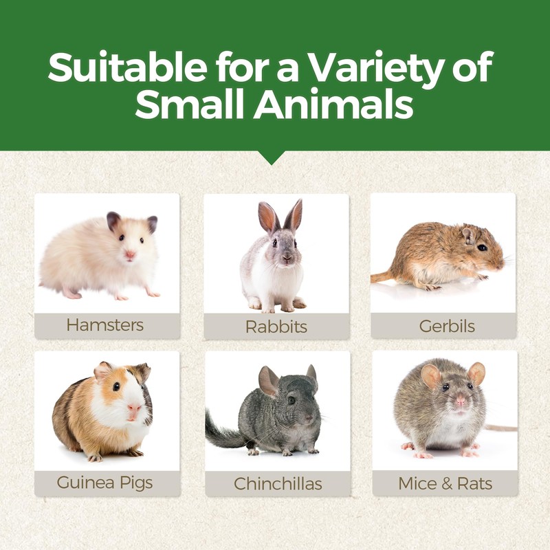 TEEWY Santa Claus Guinea Pig Toys, Natural Vegetables, Fruits and