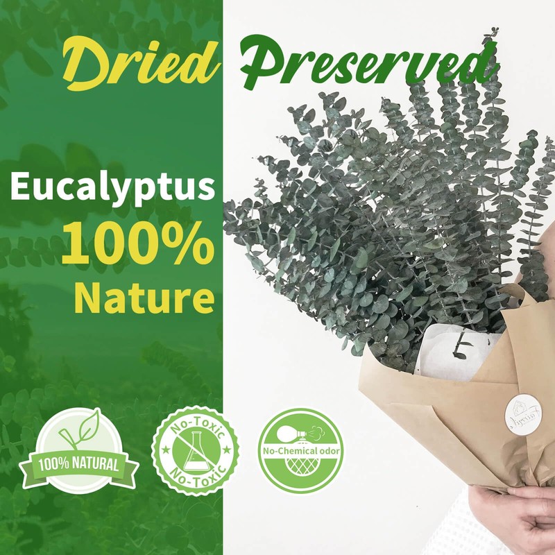41 PCS Dried Preserved Eucalyptus Bundle for Shower-17'' Real Large