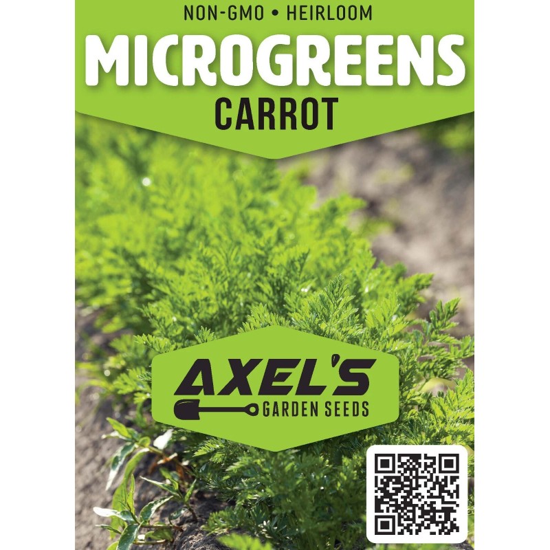 Axel's Garden Seeds Carrot MICROGREEN Seeds | Non-GMO | Heirloom