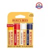 Burt's Bees Kit protector labial Burt's Bees 100% natural C/
