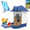 Swingers Smart Bird Feeder with Camera,Solar Powered Bird Feeder with