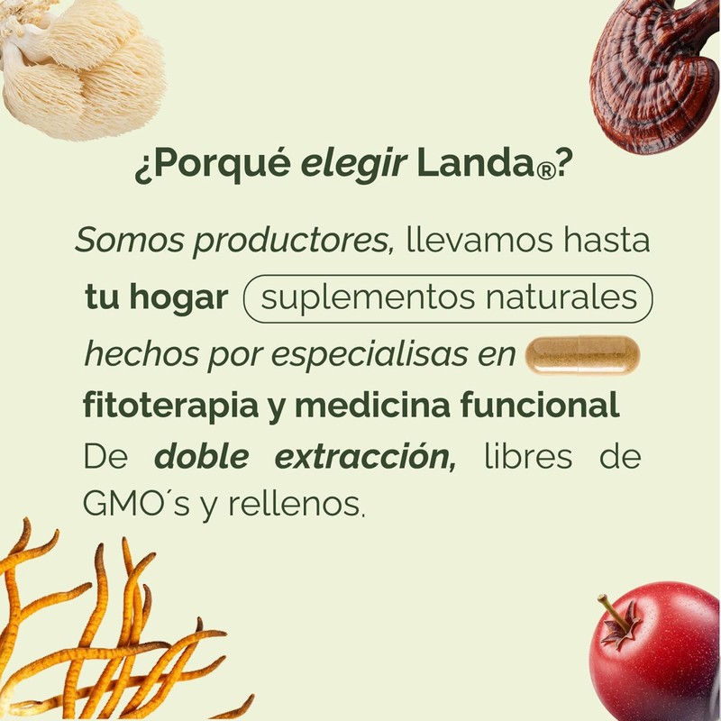 LANDA Extracto Liquido de Hongo Melena de León 30 ml