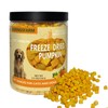 JADINGSFARM Pumpkin for Dog, Freeze Dried Pumpkin Dog Cat Treats,