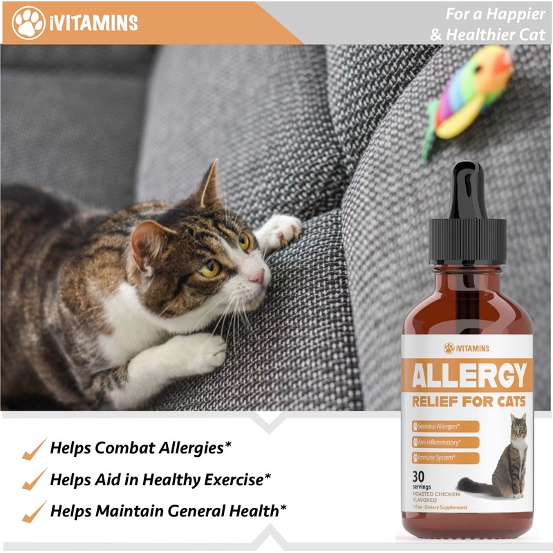 Allergy Relief for Cats | Helps to Naturally Support Allergy