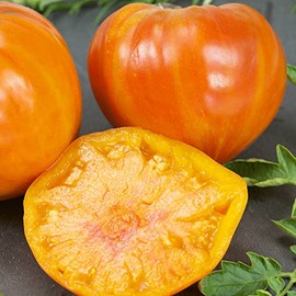 Patty's Striped Beefsteak Tomato Seeds - 300 Mg Packet ~65 Seeds - Non-GMO - Vegetable Garden - Solanum lycopersicum