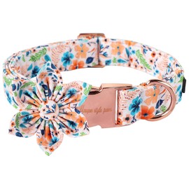 Unique Style Paws Dog Collar with Flower, Adjustable Comfortable Cotton Collar for Boys Girls Dogs, Metal Buckle, S, Neck 10-16 inches