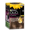 Garnier, Permanent Hair Colour, Ammonia Free and Nourishing, Olia, 6.0
