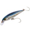 Rapala X-Rap Saltwater Long Cast Lure 14cm 54g Live Anchovy