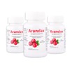 ARANDAX Extracto de arándano estandarizado (Pack of 3)