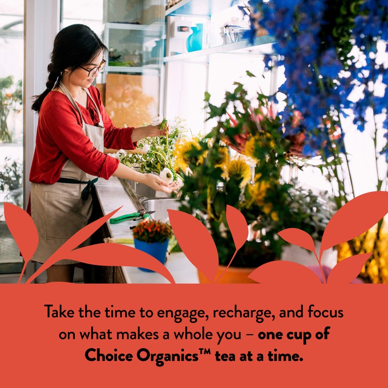 Choice Organics - Organic Rooibos Tea (1 Pack) - Fair