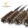 Cellribbon Premium Donmoroll Poking Brush King Brush 6 types, Brush