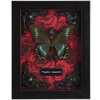 Real Butterfly Framed Butterfly Taxidermy - Butterfly Shadow Box, Real