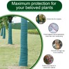 iBamso Tree Protection Film, Winter-Proof Tree Trunk Wrap Protector Guard,