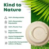 DISPOSABLE GREEN - NEXTGEN Coffee Cups Lid, Double Wall Disposable