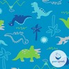 i Play Boys Swim Diaper Aqua Dinosaur-4T