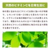 健康・野草茶センター 国産 柿の葉100％ パウダー 100g 健康茶 粉末