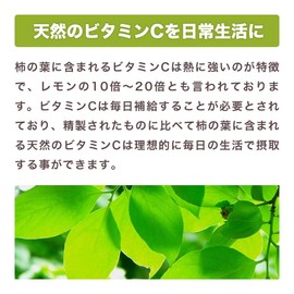 健康・野草茶センター 国産 柿の葉100％ パウダー 100g 健康茶 粉末