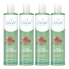 Pack De 4 Shampoos Chile Y Romero 530ml Shelo Nabel