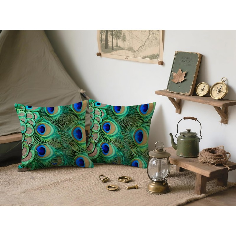 Doobicy 18X18 Inch Peacock Feather Throw Pillow Covers Set of