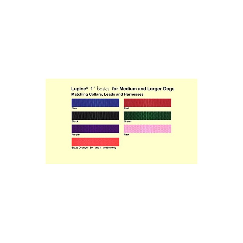 LupinePet Basics 1" Blaze Orange 19-27" Martingale Collar for Large
