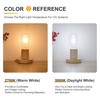 TOKCON 12V LED Edison Light Bulbs - Daylight 5000K 6W(Only