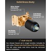 Airuida Shower Faucet Set with Female Thread Rough-in Valve, Rainfall