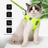 Evel Cat Harness and Leash, Ultra-Light, Escape-Proof, Adjustable, Soft Mesh