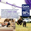 Dog Tie Out Cable - Training Tether for Dogs Up