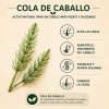 Shampoo Secreto Herbal con Extractos Naturales de Romero y Cola