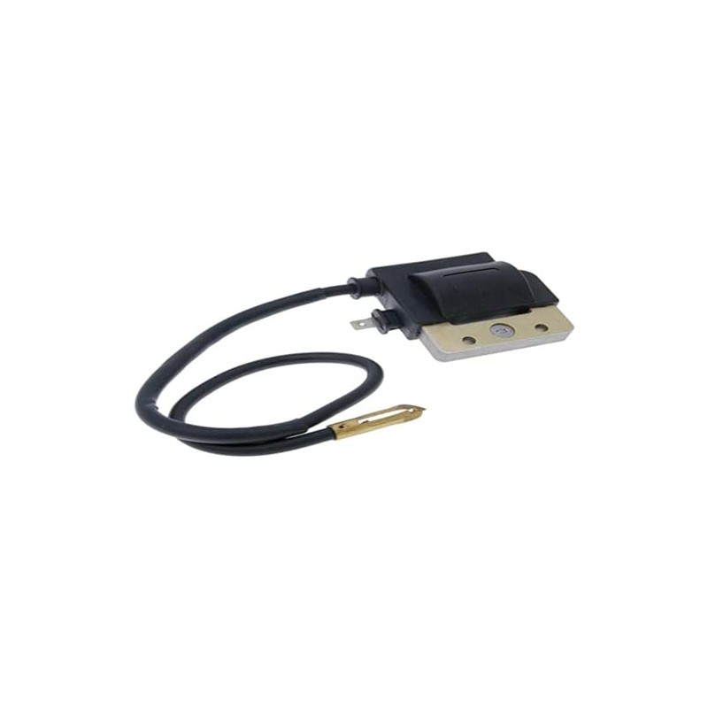 CG94 External Ignition Coil with Spark Plug Cable 6V Compatible