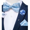 DiBanGu Light Blue Bow Ties for Men Paisley Pretied Bow