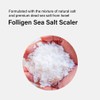 Dr.FORHAIR Folligen Sea Salt Scaler Biotin Scalp Scrub (10.5oz) Hair