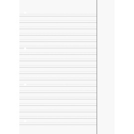 Brunnen School Pad A4 Lin DM 50 Sheets Premium