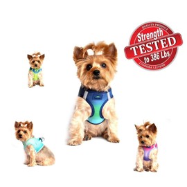 Doggie Design American River Dog Harness Ombre Collection - Northern Lights Large