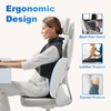 CILI Lumbar Support Pillow with Heat