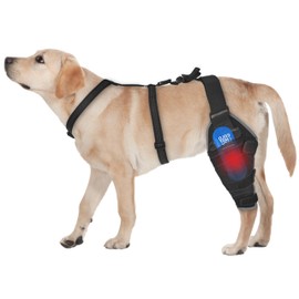 Moysoon Dog Knee Brace for Back Leg - Adjustable Breathable Canine Leg Wrap with Hot & Cold Gel Packs - Supports Large & Medium Dogs with Arthritis, Hip Dysplasia, ACL Injuries, Left Hind Leg (L)