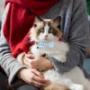 2 Pcs Boy Cat Collar with Bell Breakaway Cat Collars