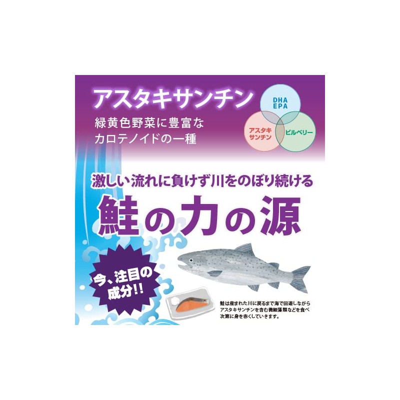 【公式】アイキーアップ DHA・EPA・アスタキサンチン・ビルベリー配合 飲みやすいソフトカプセル