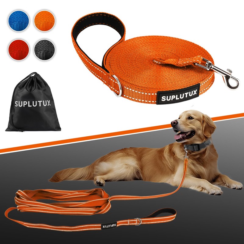 Dog Leash Long Leash for Dog Training, Training for Large