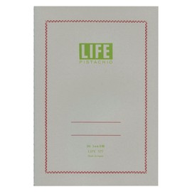 B6 Pistachio Laptop/Pistachio [Grid] N77