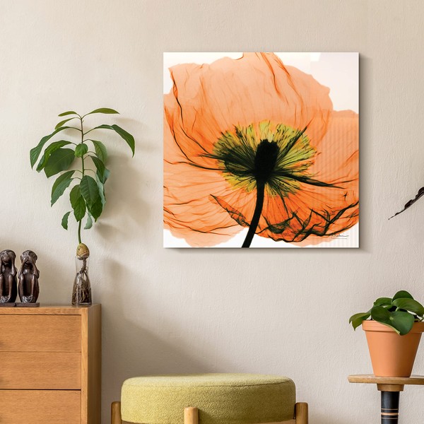 Empire Art Direct Frameless Free Floating Tempered Glass Panel Graphic Wall Art Ready to Hang, 24" x 24", Poppy Orange