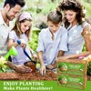 Riare 8 Pack Coco Chips Substrate for Plants- 8.8lb 100%