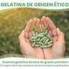 Size 3 Clear Empty Gelatin Capsules, 500 Count, Halal &