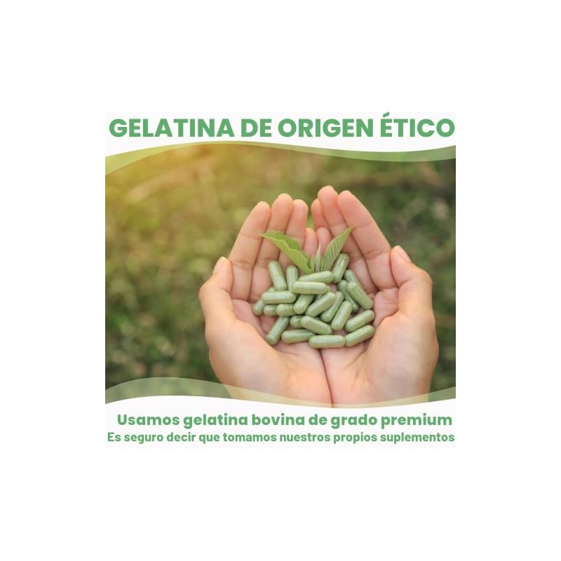 Size 3 Clear Empty Gelatin Capsules, 500 Count, Halal &