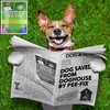 PEE-FIX dog urine neutraliser grass lawn patch repair treatment