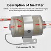 EVIL ENERGY 6AN Fuel Line Kit with LS Swap Fuel