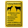 Achtung Weidevieh | Warning Sign for Pastures | Robust Tin