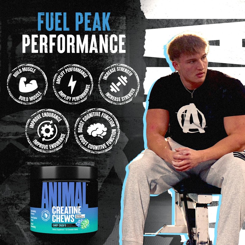 Animal Creatine Chews – Enhanced Creatine Monohydrate Chewable Tablets with