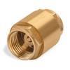 Brass One Way Valve 1/2 inch Backflow Preventer Female NPT